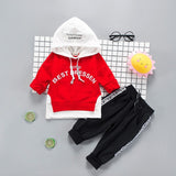 Toddler Boys Clothes 2019 Autumn Winter Kids Clothes Hooded+Pant Outfit Children Clothing Suit For Boys Clothing Sets 2 3 4 Year