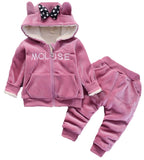 Warm Baby Girls Clothing Set Winter Thick Plush Cotton Clothing Sets For Baby Girls Hoodies And Pants Kids Suit Children Clothes